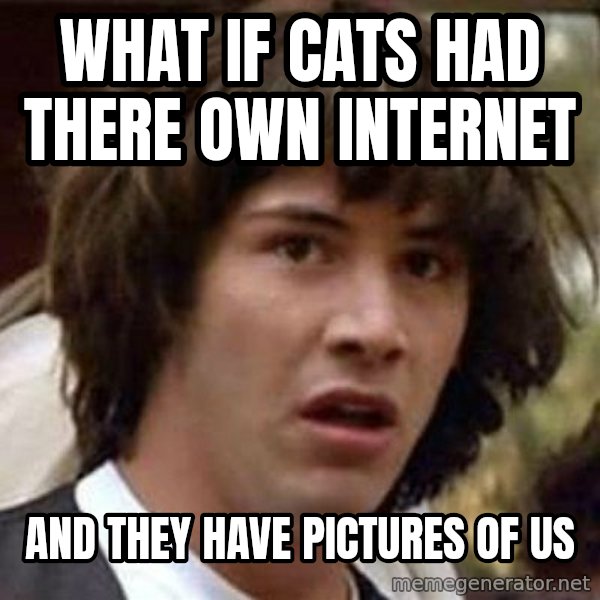 Conspiracy Keanu meme: what if cats had there own internet / and they have pictures of us