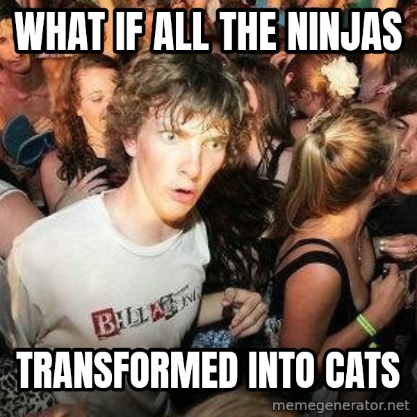 -Sudden Clarity Clarence meme: What if all the ninjas / Transformed into cats