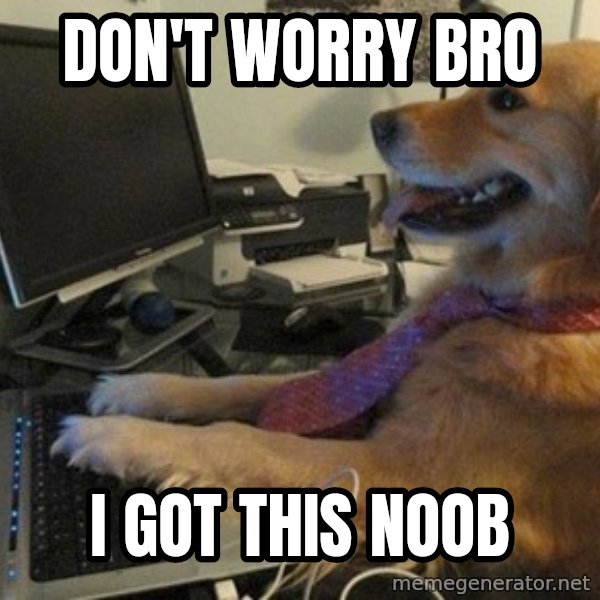 I have no idea what I'm doing - Dog with Tie meme: DON'T WORRY BRO / I GOT THIS NOOB