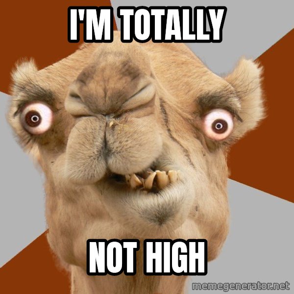 Crazy Camel lol meme: I'M TOTALLY / NOT HIGH