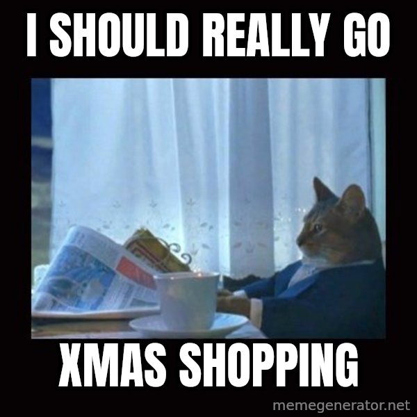 i should buy a boat cat meme: I SHOULD REALLY GO / XMAS SHOPPING
