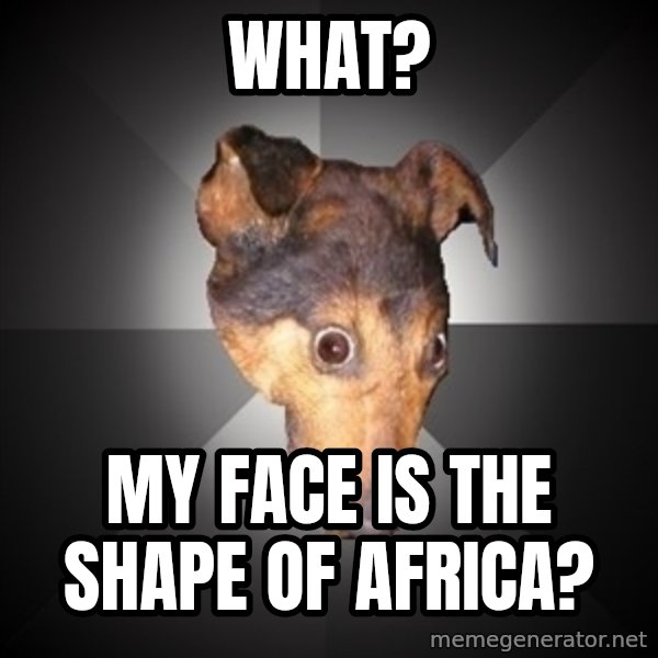 Depression Dog meme: what? / my face is the shape of africa?