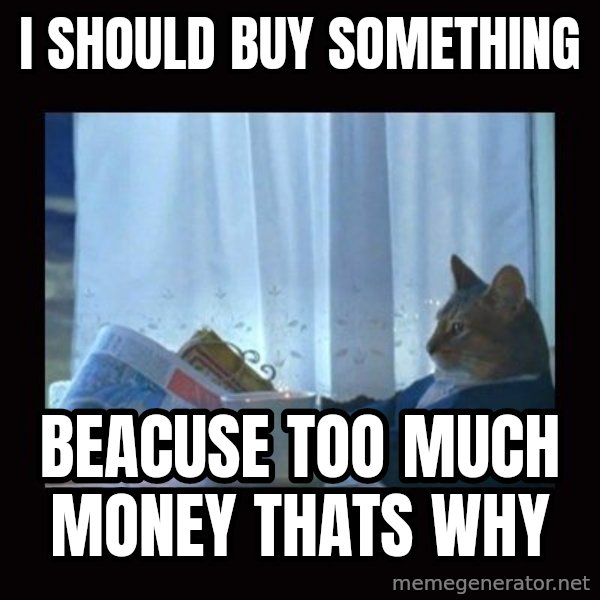 i should buy a boat cat meme: i should buy something / beacuse too much money thats why