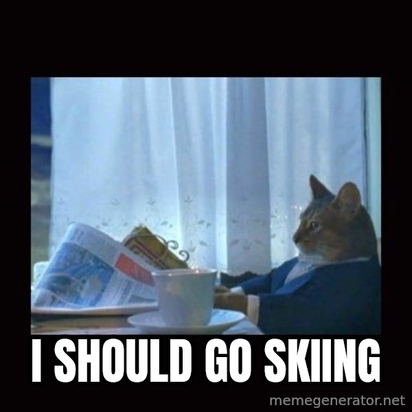 i should buy a boat cat meme: i should go skiing