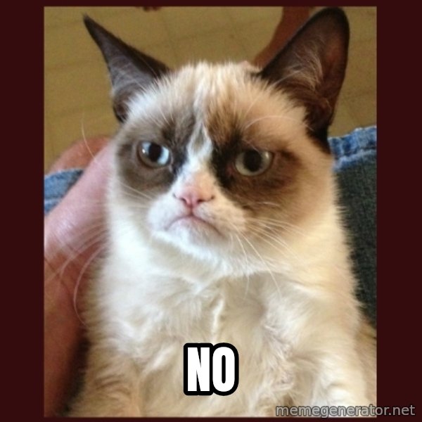 Grumpy Cat  meme: NO