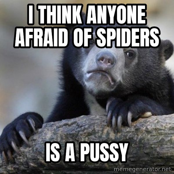 Confession Bear meme: i think anyone afraid of spiders / is a pussy