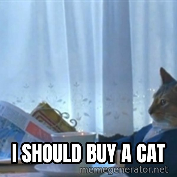 Sophisticated Cat meme: i should buy a cat