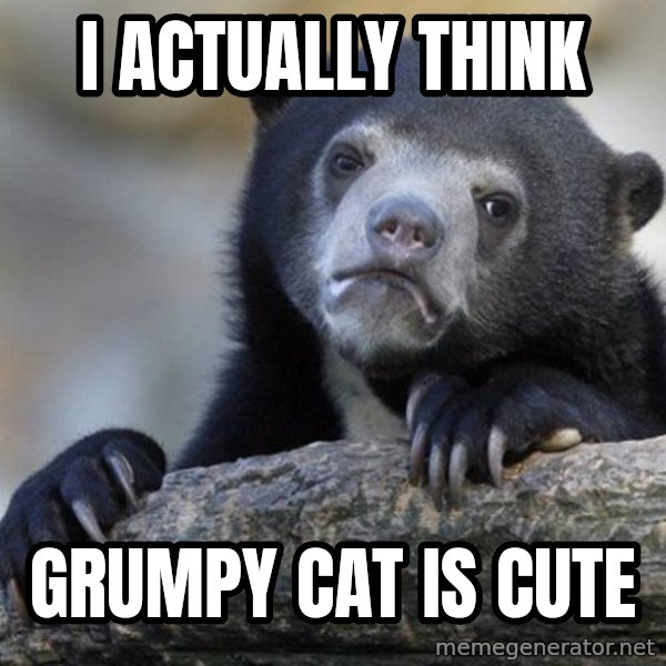 Confession Bear meme: I actually think / grumpy cat is cute