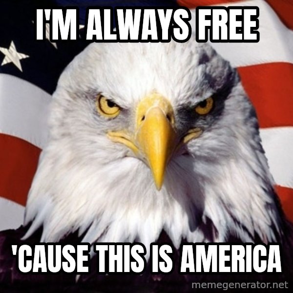 American Pride Eagle meme: I'm always free / 'Cause this is America