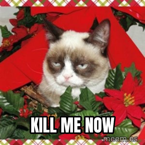 Grumpy Christmas Cat meme: kill me now