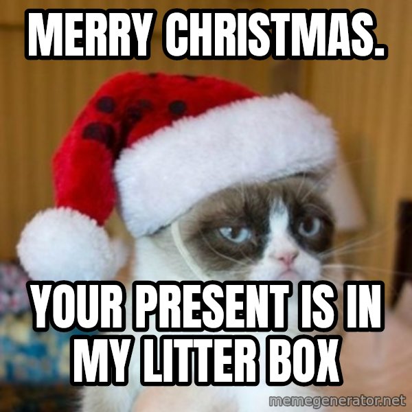Grumpy Cat Santa Hat meme: merry christmas. / your present is in my litter box
