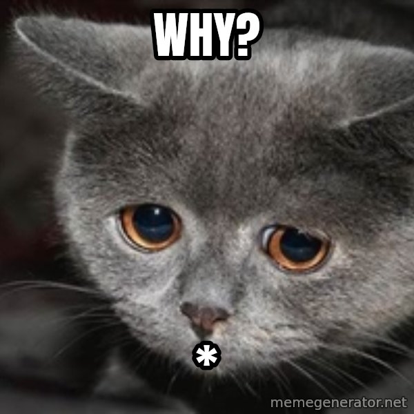 Sadcat meme: why? / *