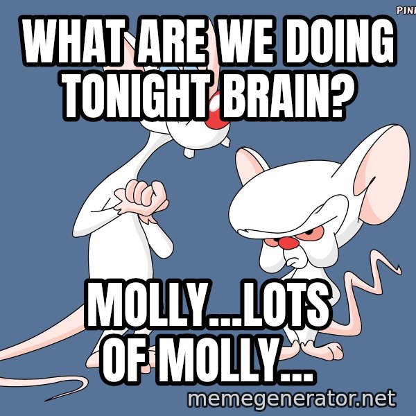 Pinky And The Brain meme: what are we doing tonight brain? / molly...lots of molly...