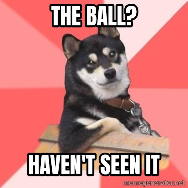 Cool Dog meme: the ball? / haven't seen it