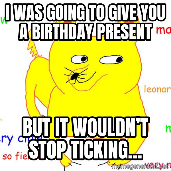 Grumpy Cat  meme: I was going to give you a birthday present / but it wouldn’t stop ticking...