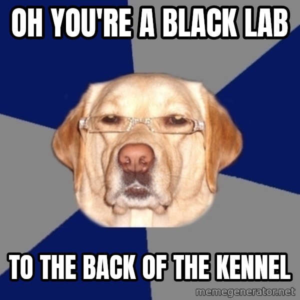 Racist Dawg meme: OH YOU'RE A BLACK LAB / TO THE BACK OF THE KENNEL