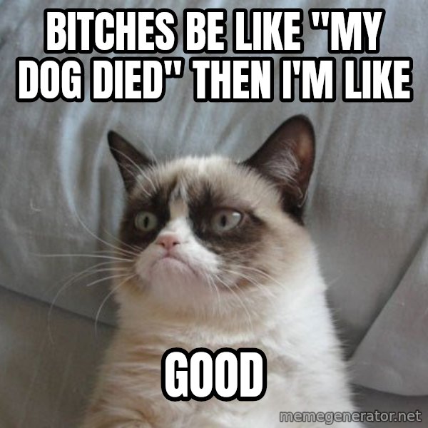 Grumpy cat good meme: BITCHES BE LIKE "MY DOG DIED" THEN I'M LIKE / GOOD