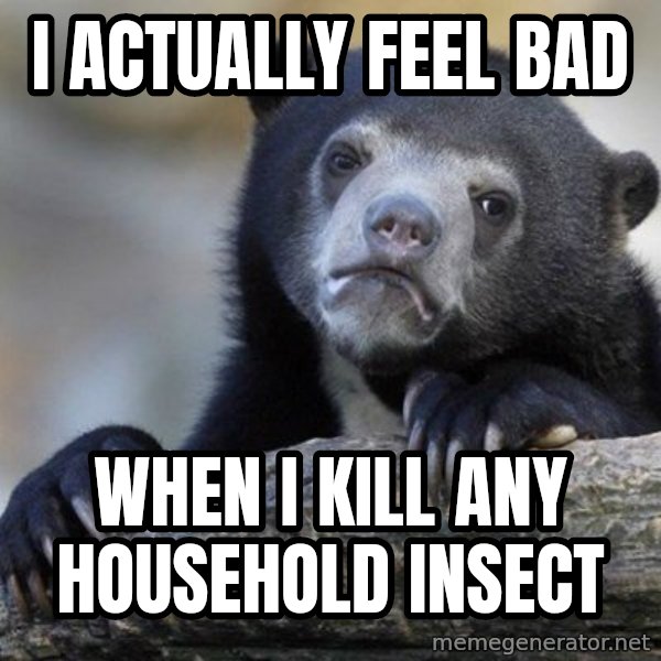 Confession Bear meme: I actually feel bad / when I kill any household insect
