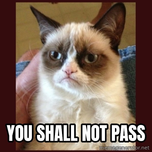 Grumpy Cat  meme: You shall not pass