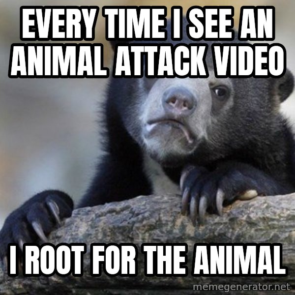 Confession Bear meme: Every time i see an animal attack video / i root for the animal