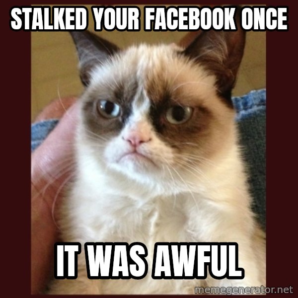 Grumpy Cat  meme: stalked your facebook once / it was awful