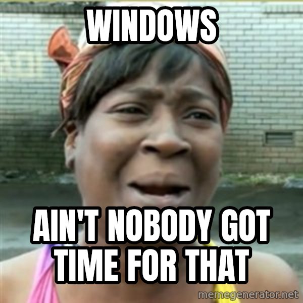 Ain't Nobody got time fo that meme: WINDOWS / ain't nobody got time for that