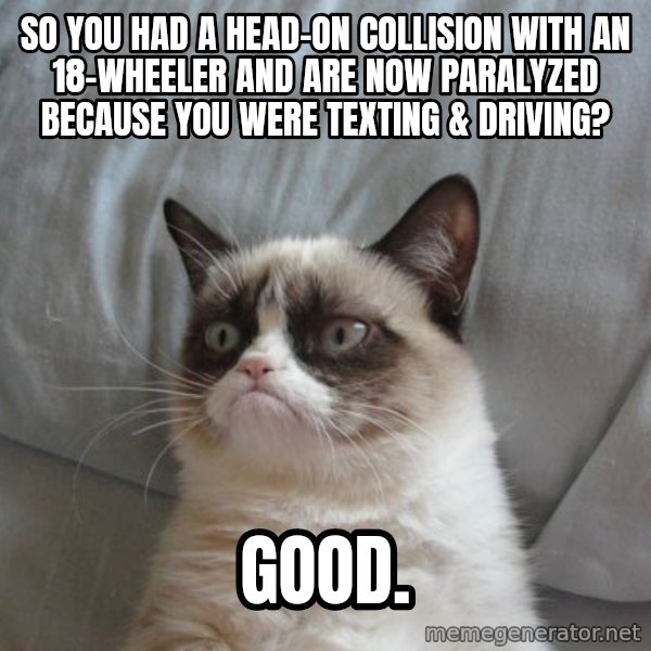 Grumpy cat good meme: So you had a head-on collision with an 18-wheeler and are now paralyzed because you were texting & driving? / GOOD.
