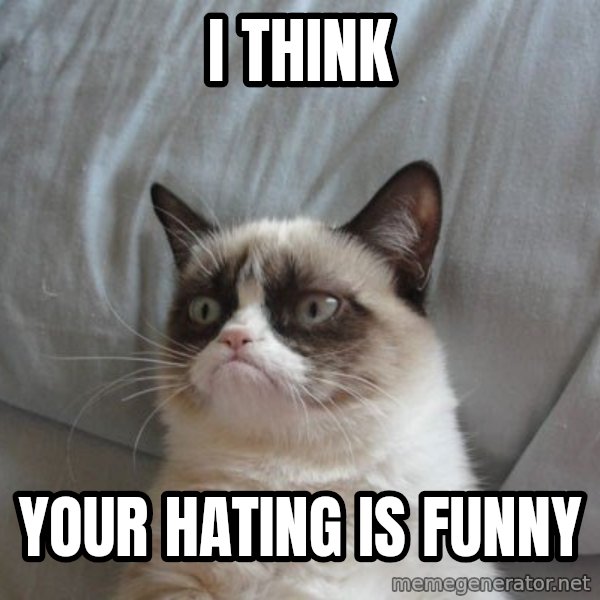 Grumpy cat good meme: i think / your hating is funny