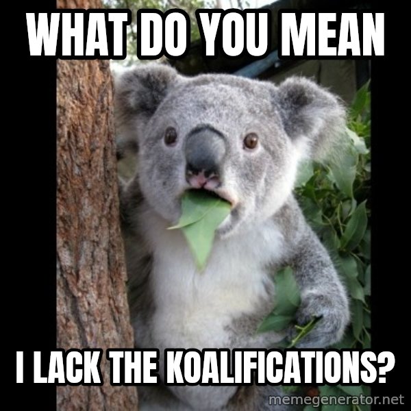 Koala can't believe it meme: what do you mean / i lack the koalifications?