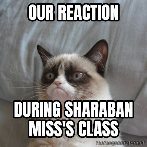 Grumpy cat good meme: OUR REACTION / DURING SHARABAN MISS'S CLASS