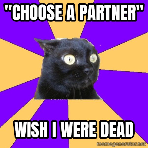 Anxiety Cat meme: "Choose a partner" / Wish i were dead