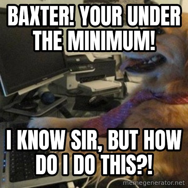 I have no idea what I'm doing - Dog with Tie meme: BAXTER! YOUR UNDER THE MINIMUM! / I KNOW SIR, BUT HOW DO I DO THIS?!