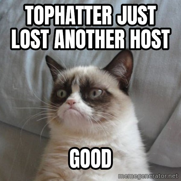 Grumpy cat good meme: Tophatter just lost another host / good