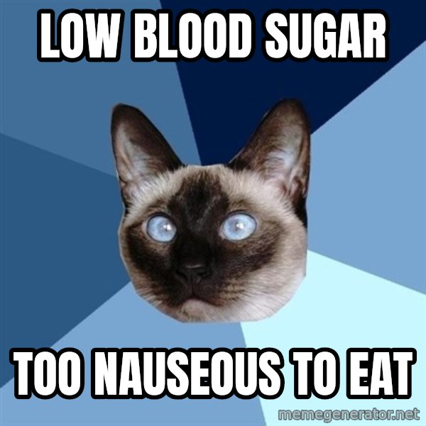 Chronic Illness Cat meme: low blood sugar / too NAUSEOUS to eat