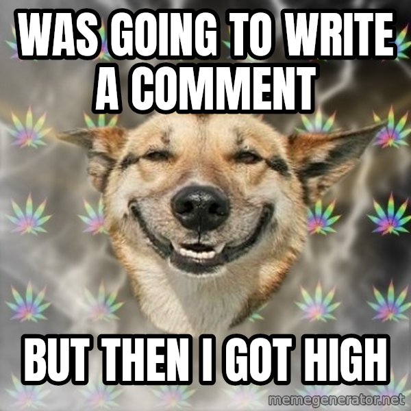 Stoner Dog meme: was going to write a comment / BuT THEN I GOT HIGH