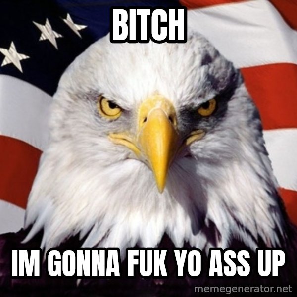 American Pride Eagle meme: Bitch / Im gonna fuk yo ass up