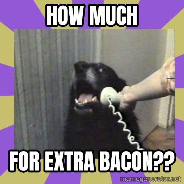 Yes, this is dog! meme: HOW MUCH / FOR EXTRA BACON??