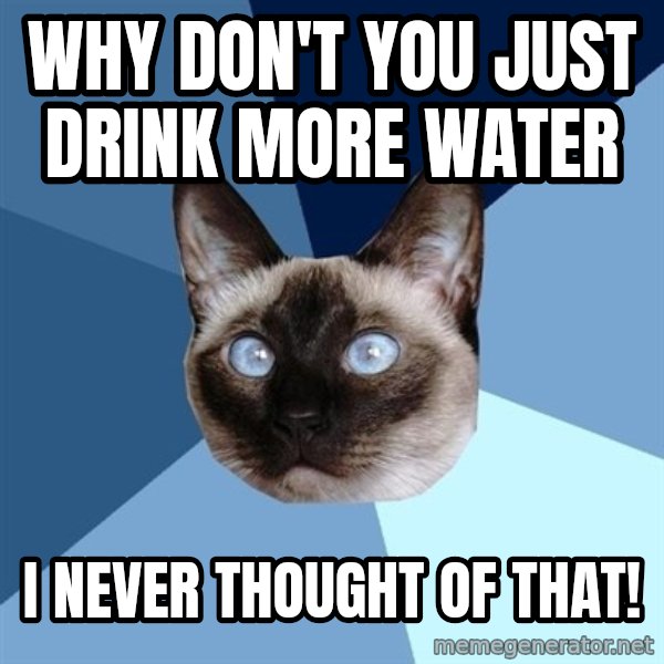 Chronic Illness Cat meme: Why don't you just drink more water / I never thought of that!