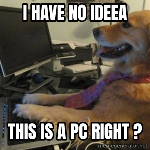 I have no idea what I'm doing - Dog with Tie meme: I HAVE NO IDEEA / THIS IS A PC RIGHT ?