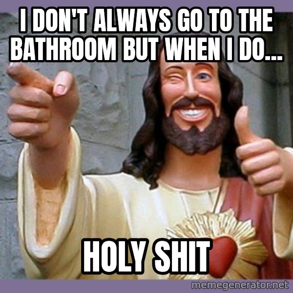 buddy jesus meme: I DON'T ALWAYS GO TO THE BATHROOM BUT WHEN I DO... / HOLY SHIT