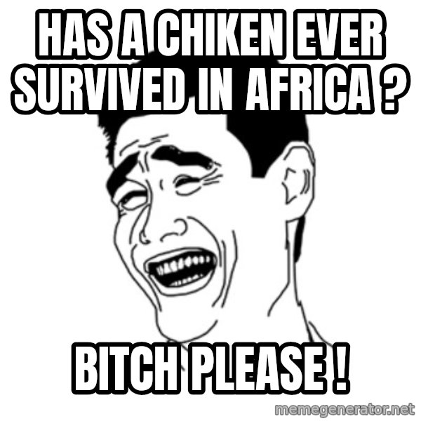 FU*CK THAT GUY meme: HAS A CHIKEN EVER SURVIVED IN AFRICA ? / BITCH PLEASE !