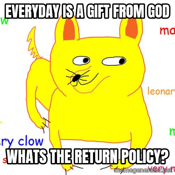 Grumpy Cat  meme: Everyday is a gift from god / whats the return policy?
