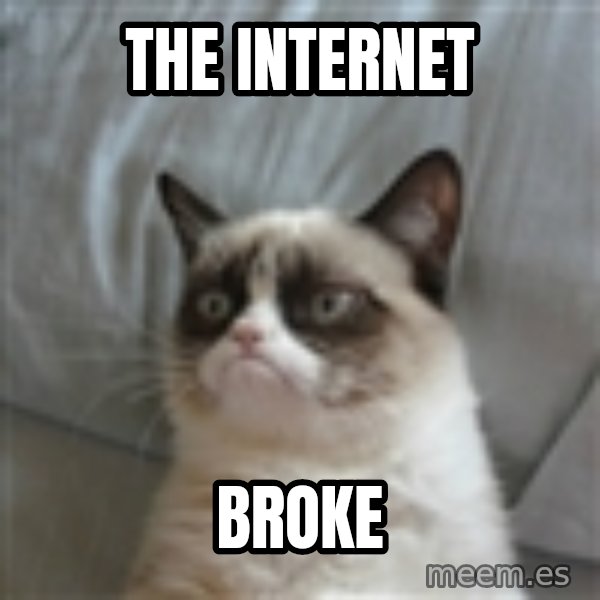 Grumpy Cat ={ meme: the internet / broke