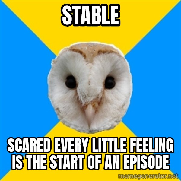 Bipolar Owl meme: stable / scared every little feeling is the start of an episode