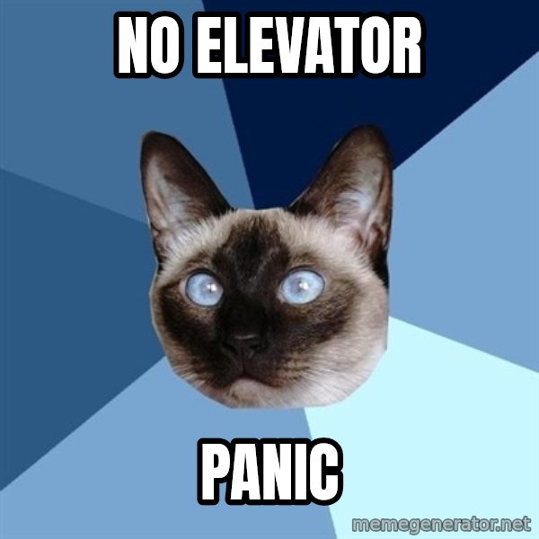 Chronic Illness Cat meme: No elevator / panic