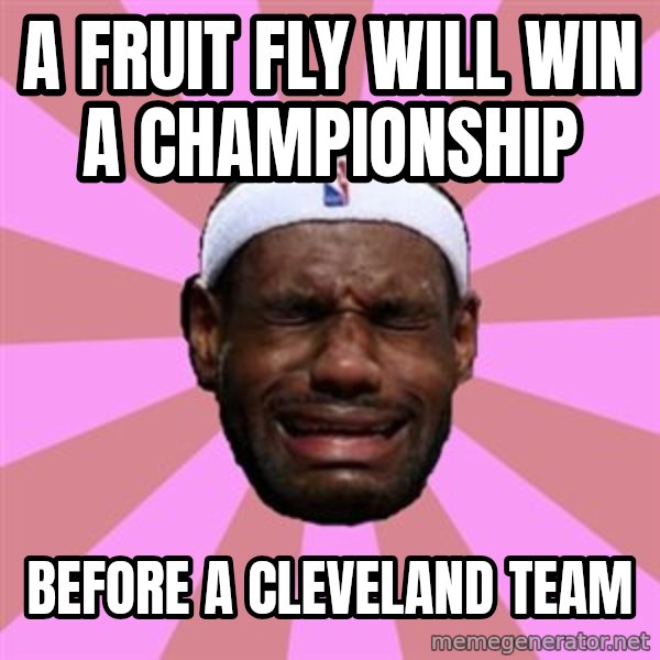 LeBron James meme: a fruit fly will win a CHAMPIONSHIP / before a cleveland team