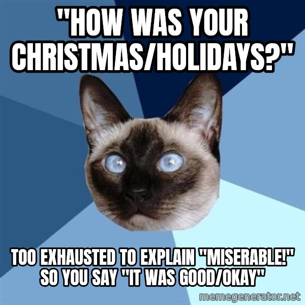 Chronic Illness Cat meme: "how was your christmas/holidays?" / too exhausted to explain "miserable!" so you say "it was good/okay"