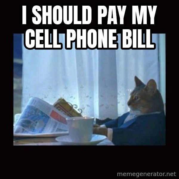 i should buy a boat cat meme: I should pay my cell phone bill