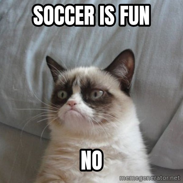 Grumpy cat good meme: SOCCER IS FUN / NO