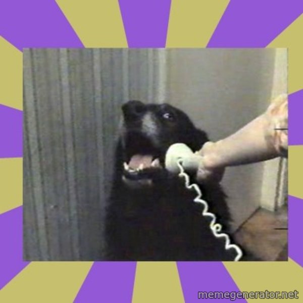Yes, this is dog! meme: 